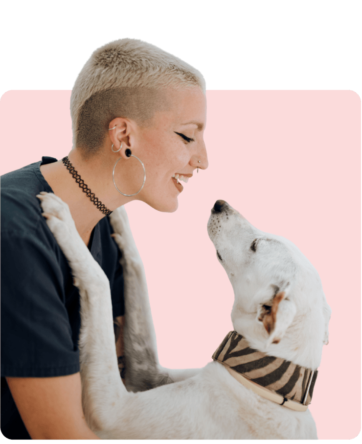 veterinaria-asequible