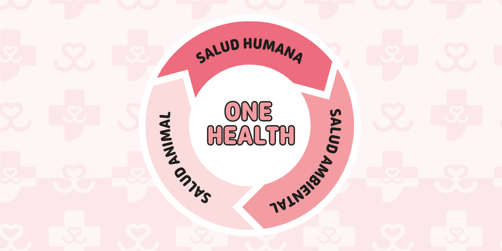 one-health-que-es